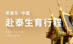 泰國試管嬰兒：雙胞胎成功率與選擇指南
