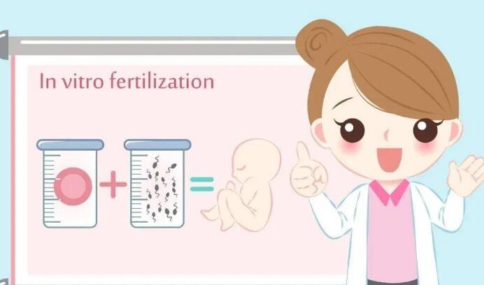泰國試管嬰兒費用、經驗與省錢技巧（三代試管及費用詳解）