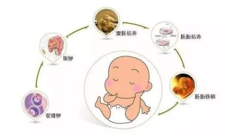 泰國三代試管嬰兒價格是怎樣的?（附試管費用一覽）