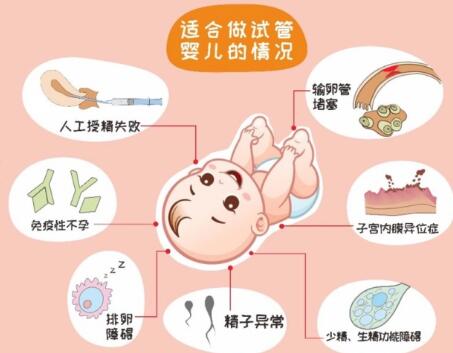 泰國三代試管嬰兒詳細花費分析：從體外授精到精液冷凍（附試管費用一覽）