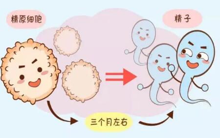 泰國試管嬰兒哪家成功率高？（附三代試管嬰兒費用清單）