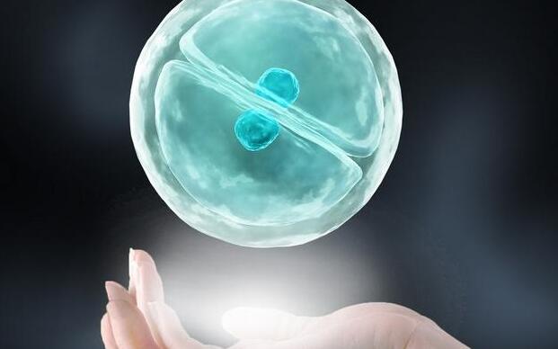 泰國試管精子報告的費用、準確度、注意事項（附成功率及費用詳情）